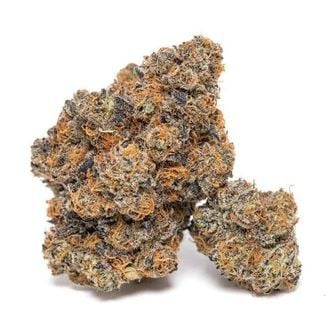 King Louis Garcia (Growers Choice) feminisiert