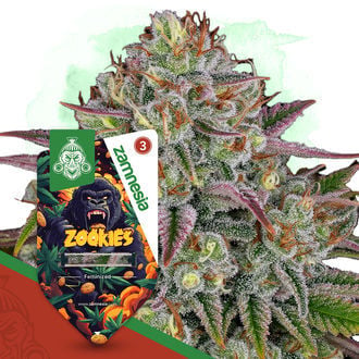 Zookies (Zamnesia Seeds) feminisiert