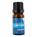 Ylang-Ylang Essential Oil (Zamnesia)