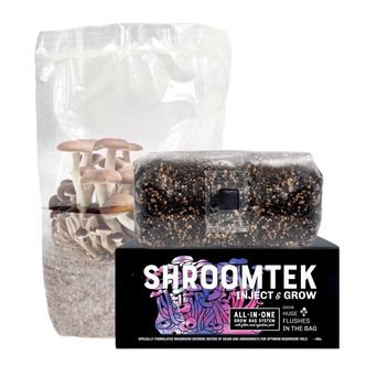 ShroomTek All-In-One Mushroom Grow Bag (North Spore)