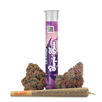 Purple Haze - THCa Pre-Roll 28% (Zamnesia)