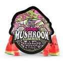 Watermelon Wonder Magic Mushroom Gummies (TRĒ House)