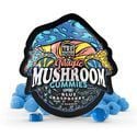 Blue Raspberry Magic Mushroom Gummies (TRĒ House)