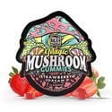 Strawberry Dream Magic Mushroom Gummies (TRĒ House)