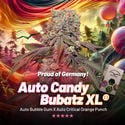 Auto Candy Bubatz XL (Dutch Passion) feminisiert