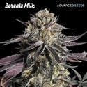 Zerealz Milk (Advanced Seeds) feminized