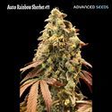 Auto Rainbow Sherbet 11 (Advanced Seeds) feminisiert