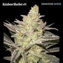 Rainbow Sherbet #11 (Advanced Seeds) feminisiert