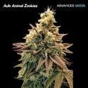 Auto Animal Zookies (Advanced Seeds) feminisiert