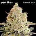 Apple Fritter (Advanced Seeds) feminisiert