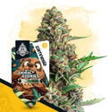 Wild Things Pack - Autoflowering Sorten