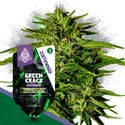 Super Potency Pack - F1 Hybrid Seeds