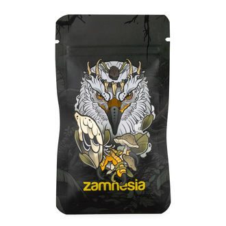 Legendary Eagle Z-Lock Stash Bags - klein