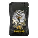 Legendary Eagle Z-Lock Stash Bags - Small