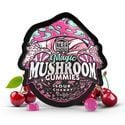 Sour Cherry Magic Mushroom Gummies (TRĒ House)