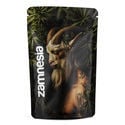 Mythical Creatures Z-Lock Stash Bag (Medium)