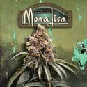 Mona Lisa (T.H.Seeds™) feminisiert