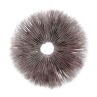 Mushroom Spore Print Pillow, 18 – Willywaw