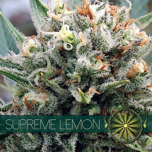 seed supreme