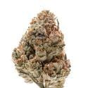 Octane Fire (Growers Choice) feminized