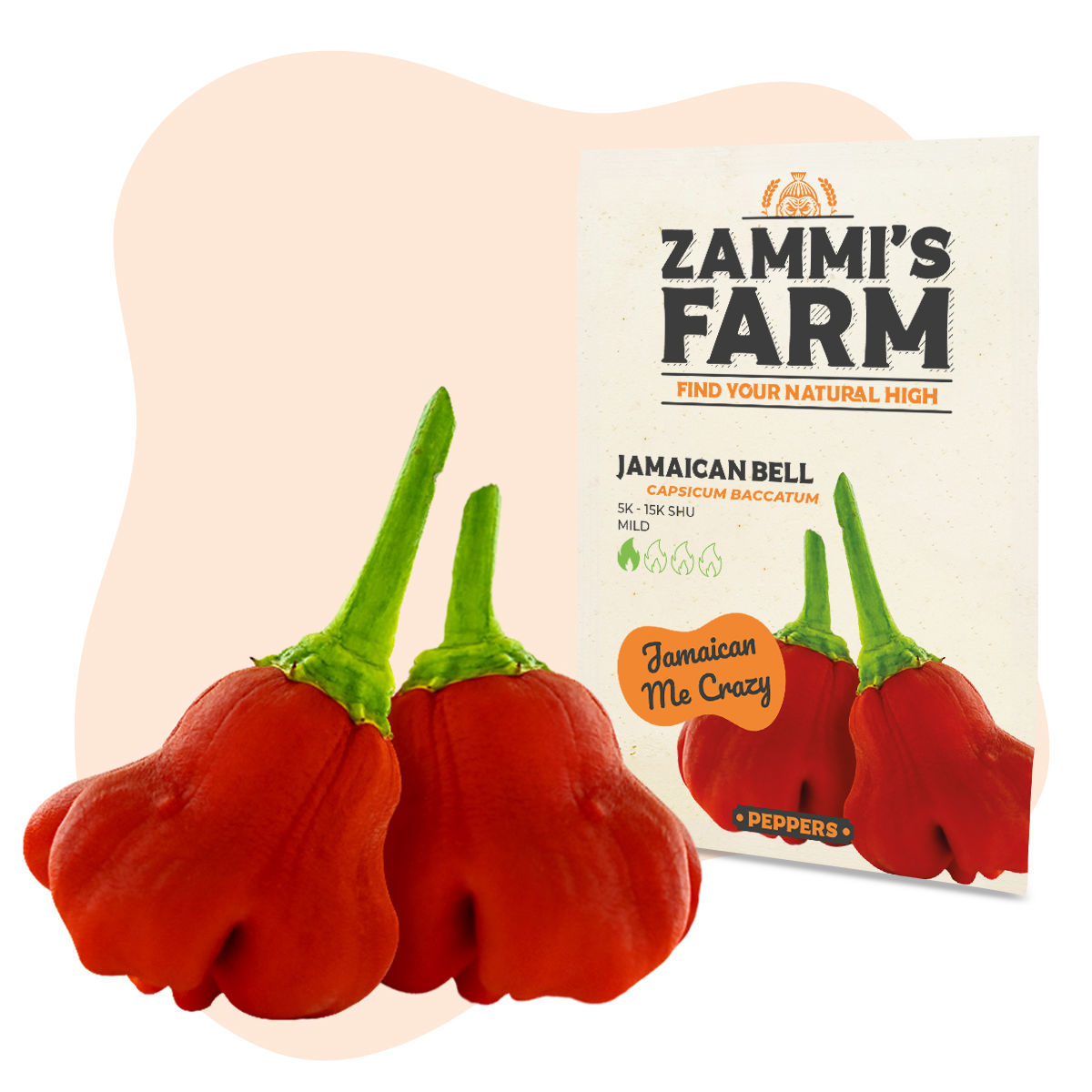 What's The Difference Between Pepper And Chilli? - Zamnesia