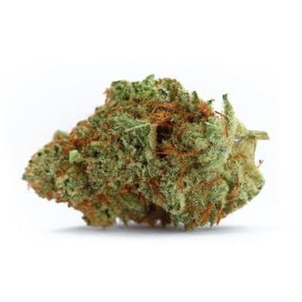 Naranja Biscotti Fast Version (Growers Choice) feminisiert