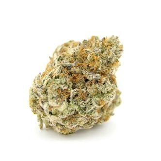 Forbidden Runtz (Growers Choice) feminized