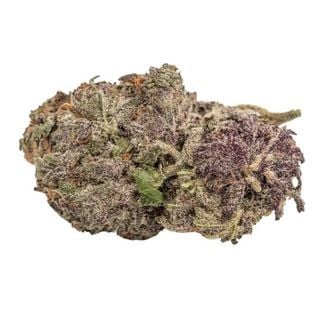 Ultra Violet GMO (Growers Choice) feminized