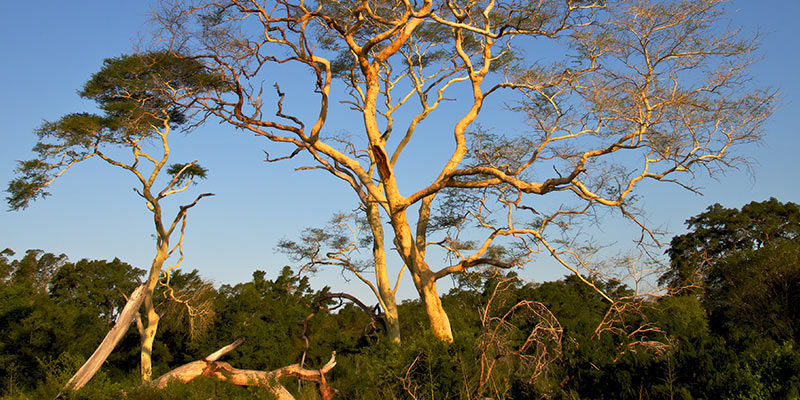 MUKANYA KUDE