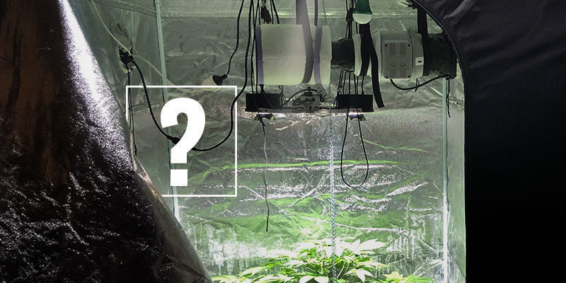 Warum Sollte Man Beim Cannabisanbau Einen Kohlefilter Verwenden?