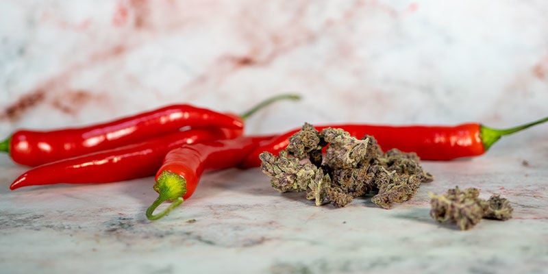 Variation: Mit Cannabis angereichertes Chili-Öl