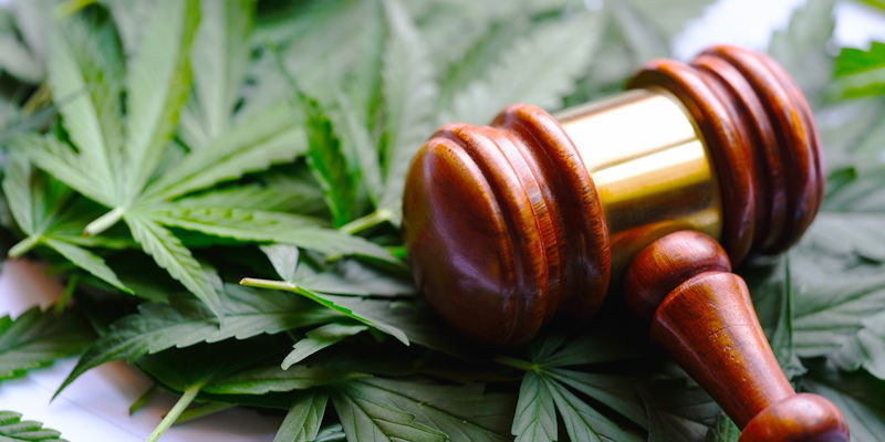 Wann Wird Cannabis Legalisiert?