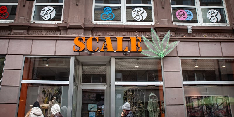 Welche Neuen Cannabisunternehmen Gibt Es?