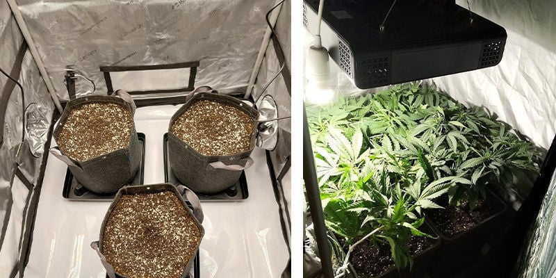 Cannabis-Growbox: Empfehlungen