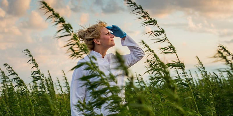 Herausforderungen Und Notwendige Anpassungen Während Croptober