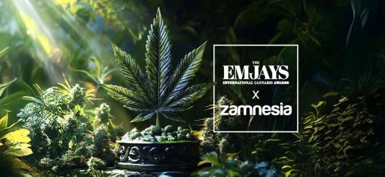 The Emjays - International Cannabis Awards - Zamnesia Sahnt Ab