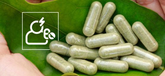 Sicherheit und Nebenwirkungen von Kratom: Das solltest du wissen