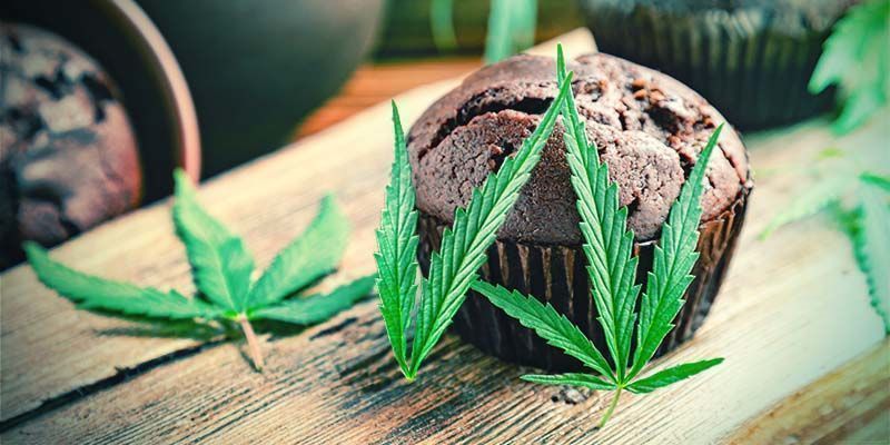 Learn Edibles Pros and Cons