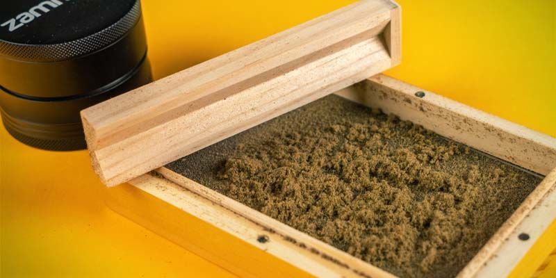 How To Use A Pollen Press To Make Hashish Coins - Zamnesia Blog