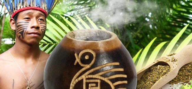 The History Of Yerba Mate And How It Can Benefit You Zamnesia Blog