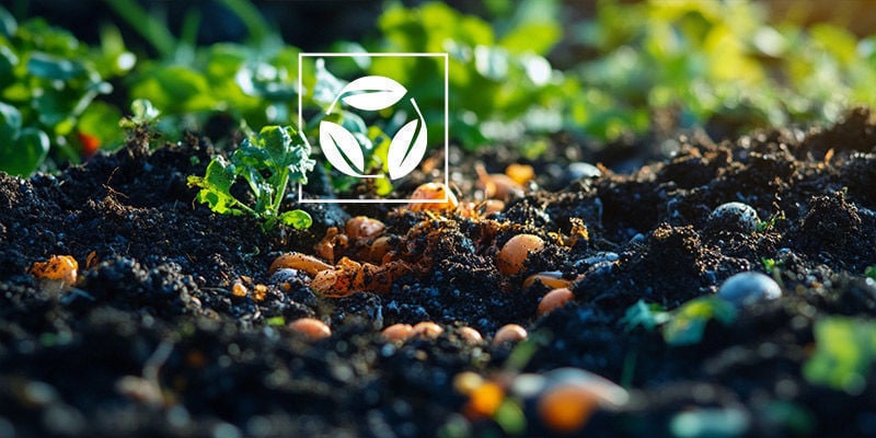 What Is Organic Living Soil?