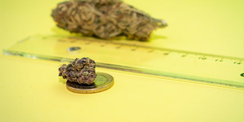 How to Measure Weed Without a Scale?