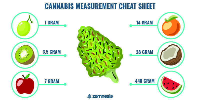 Cannabis Measurements Guide: Weights, Costs, and More - Bud's Goods