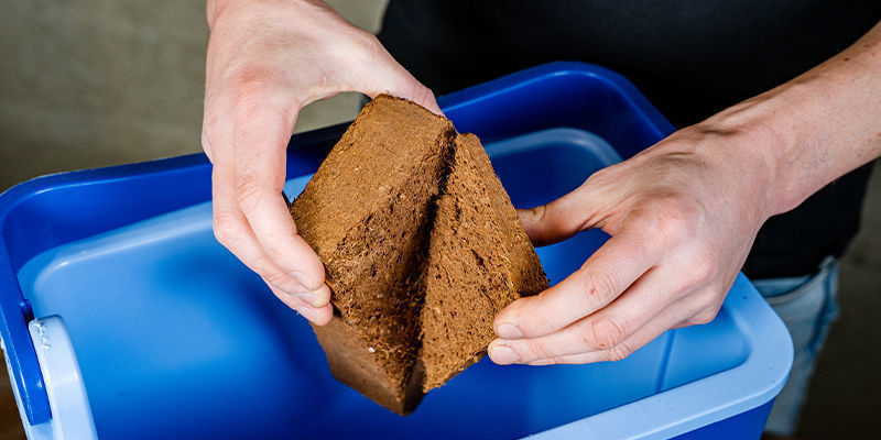 Place the coco coir in the bucket