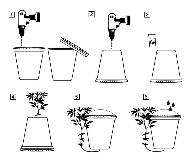 How To Grow Cannabis Upside Down