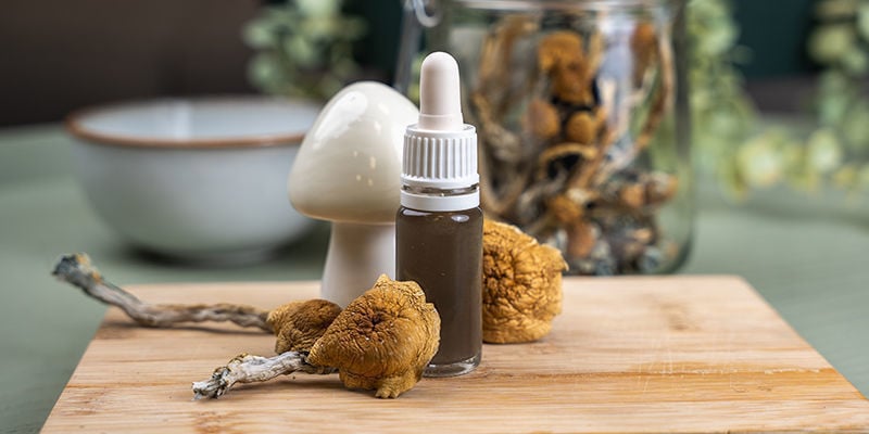 Magic mushroom tinctures: Easy!