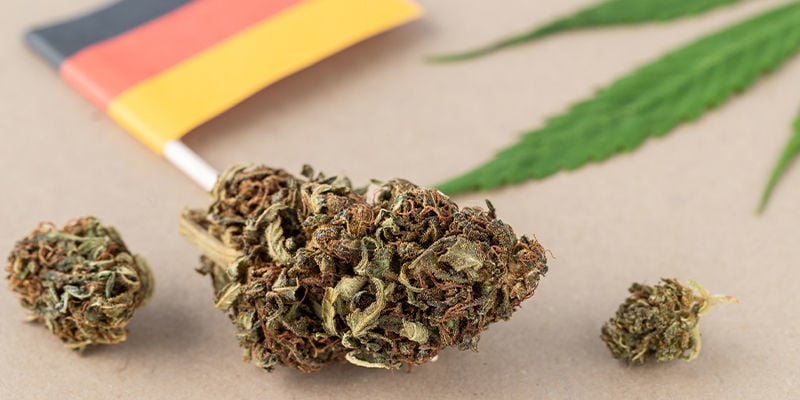 What Is The Law Regarding Cannabis In Germany?