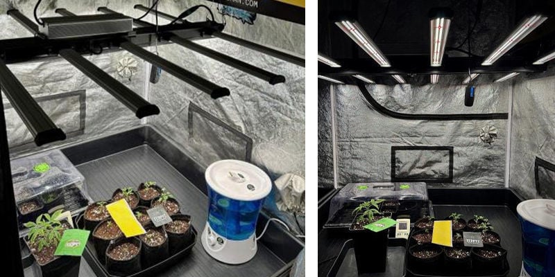 Essential equipment for your grow tent