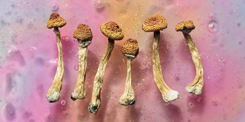 Psilocybin & psilocin: Putting the magic in mushrooms