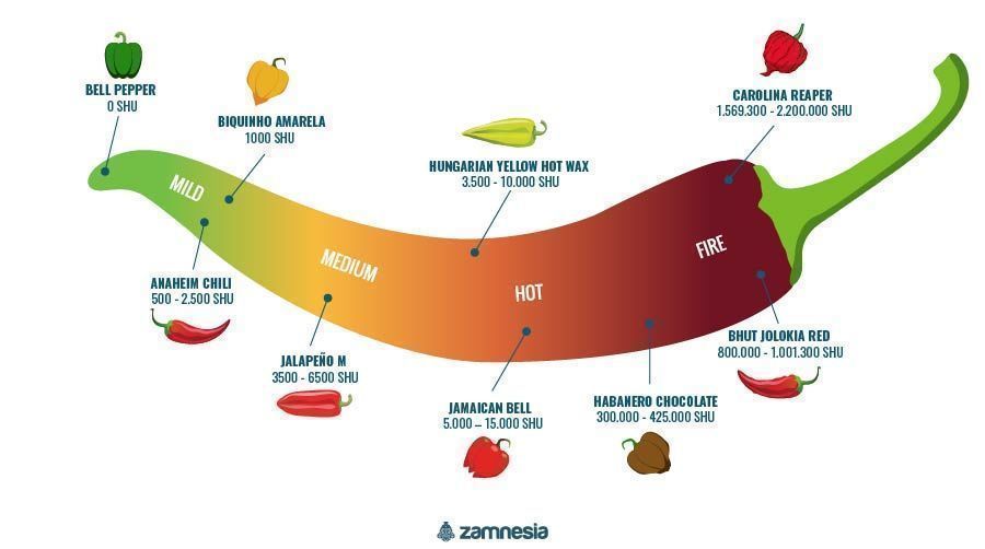 Hot Peppers And The Scoville Scale - Zamnesia